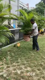 We provide garden work and pest cantrol treatments