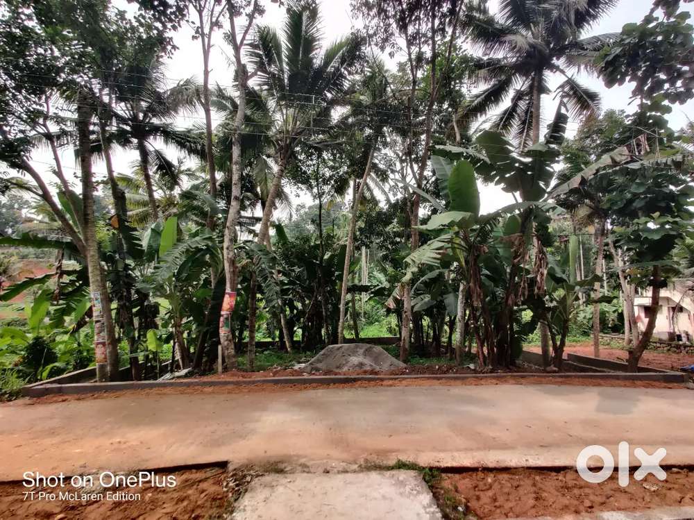 6.869 cents for sale near maruthoor