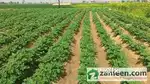 Land on sale