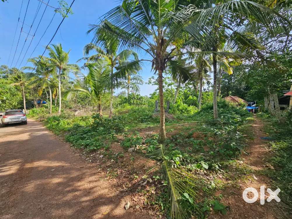 18 Cent For Sale In Near SSM Higher Secondary School 