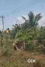 40 Acre Farm Land for Sale – Near Gauribidanur