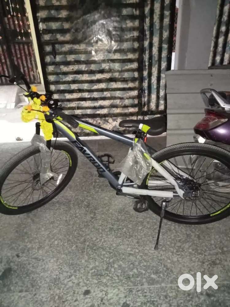 Favron cycle new cycle