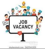 JOB OPENINGS