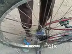Ranger Cycle