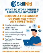 Freelancer and Business Partnership