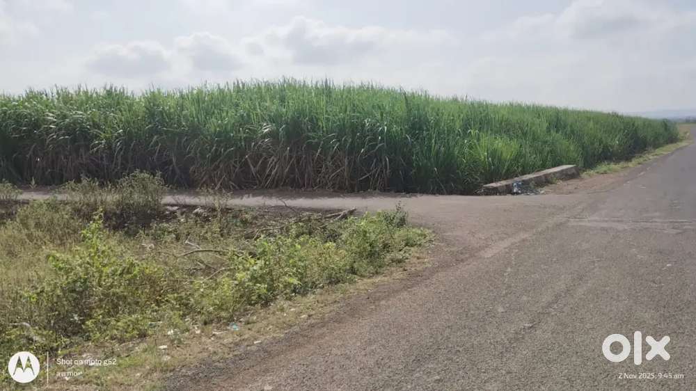 9 Acre Agriculture Land for Sale