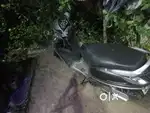 Good candishan