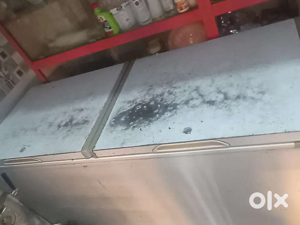 Blue Star 500lit deep freezer