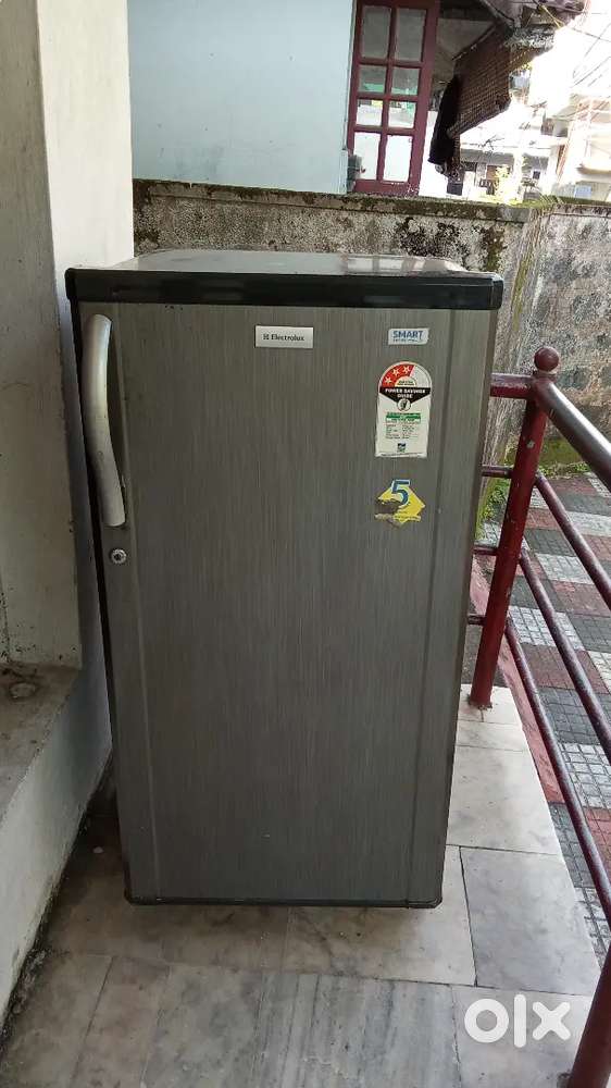 Electrolux fridge
