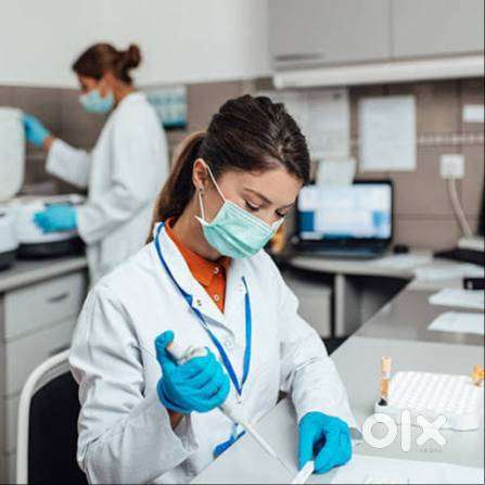 Lab technician wanted preferably Male.