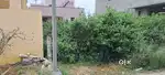 THANGAVELU 100 MTRS MAINROAD NORTH FACE DTPSITE 4.75 CENT FOR SALE