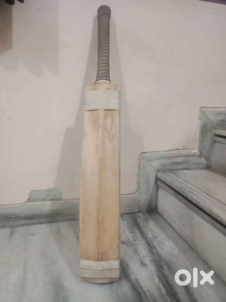 Kasmir Willow bat