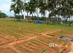 Land for sale / agricultural land / agricultural land