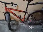 Schnell Cycle