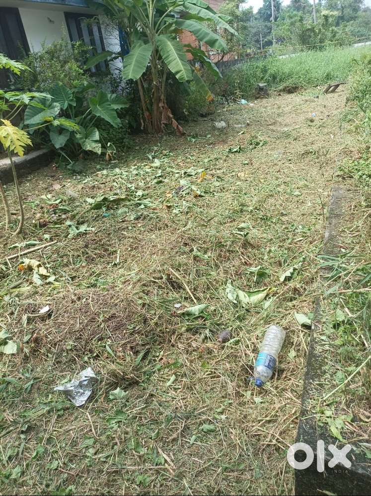 2 Cent Plot @ Manjummel, Madappat