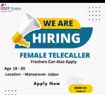Female telecalar job