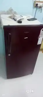 Haier 14 months old