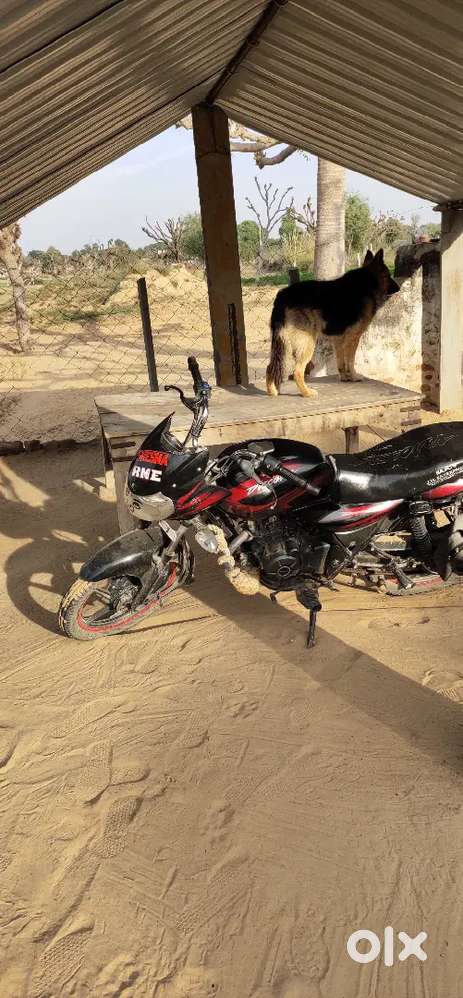 Discover 125 or exchange with bullet 350, 2 nd owner