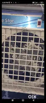 Air cooler