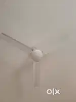 15 Fan for sale
