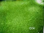 Carpet for home,car, balconies real buyer only no timepass