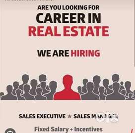 Real Estate Telecaller (Incentives Upto 40K a month)
