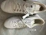 Nike Shoe New