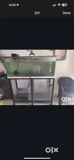 Empty aquarium tank