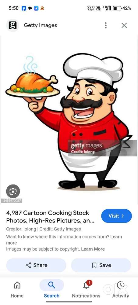 कुक चाहिए या कारीगर अंडा रोल चाउमिन बनाने वाला  और चाइनीज