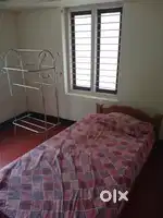 House or Rooms for bachelors