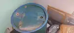 Plastic water dhrum