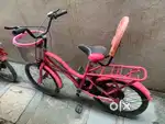 For kids red cooler cycle