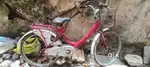 Ladybird cycle good condition