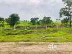 11000 sqft Agriculture Plot For Sale Village Chandkhed,Taluka -Maval