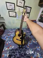 Acoustic Guitar