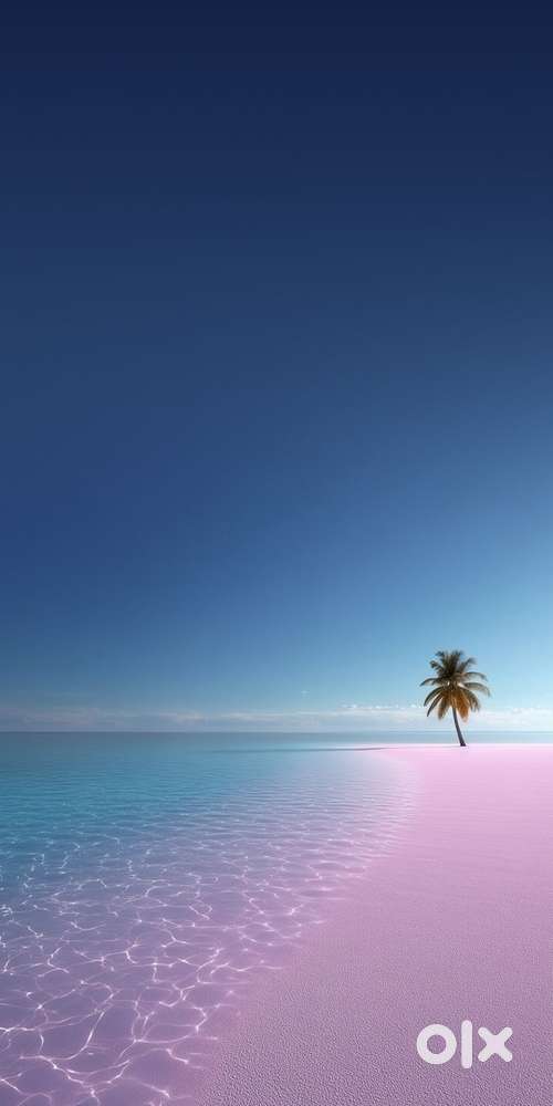 Looking for 1rk or 1bhk for rent in around altimus building