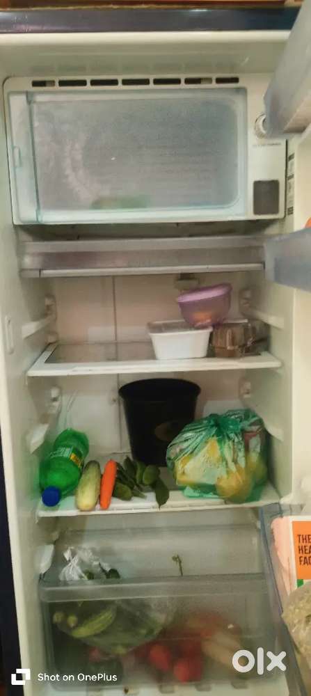 Fridge (single door)