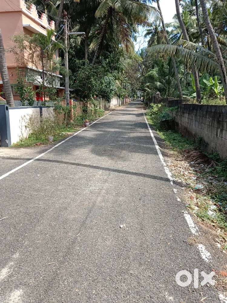 9 Cent Housing Plot for Sale in CMC School,Konam