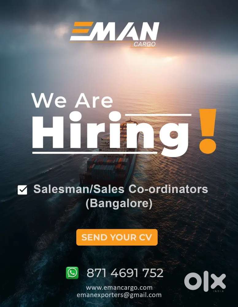 Salesman/Sales -Coordinator