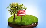 2 Gonda land for sell at Khumulwng near Dukmali Bazar only for ST