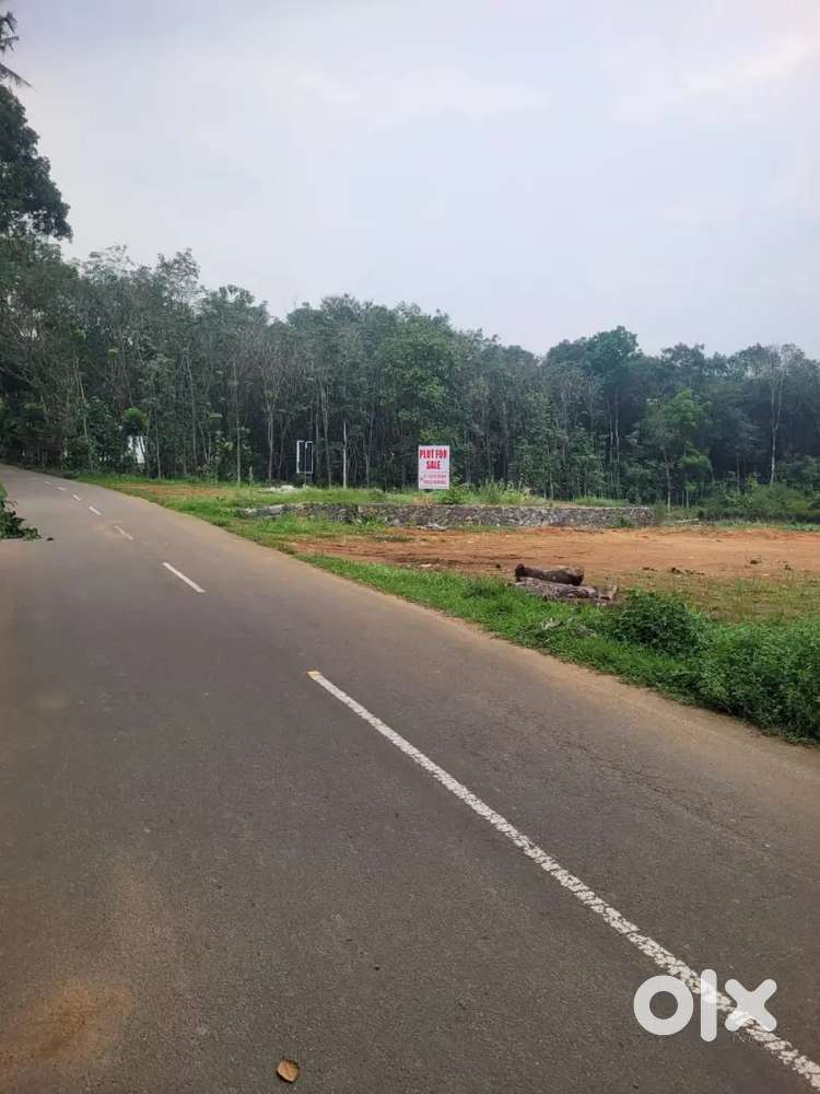 രാമപുരം കൂത്താട്ടുകുളം റോഡിൽ ഹൗസ് പ്ലോട്ടുകൾ വില്പനയ്ക്ക്.