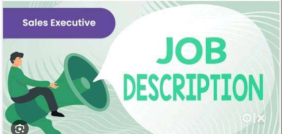Inside Sales Executive