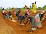 I need Agriculture related job    I need work Any work