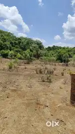 SETTLEMENT PLOTS SANQUELIM UPPER HARVALEM 300 SQMT, @₹7500/SQMT