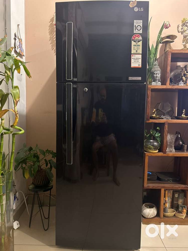 LG 335 litre double door fridge