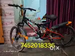 bicycle       cycle