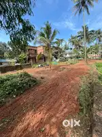 Plain plot for rent