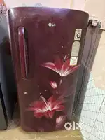 Best price lg fridge, sailing