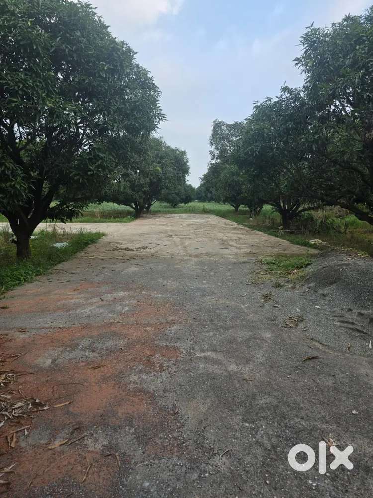 Double side 30ft road. Residential plot for sale at very good location