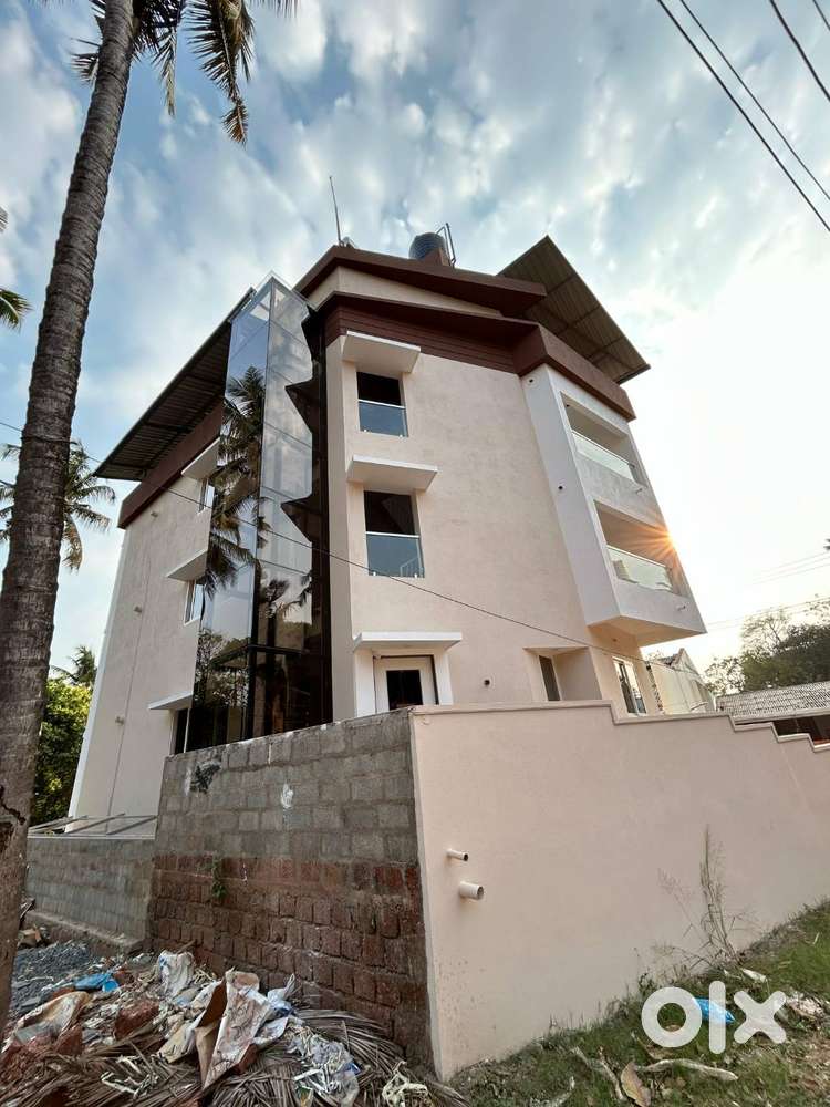 3 BHK (3Houses) in Ashok nagar, Shediguri.